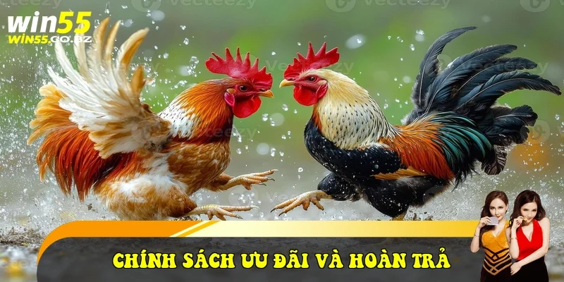 Chính sách ưu đãi và hoàn trả