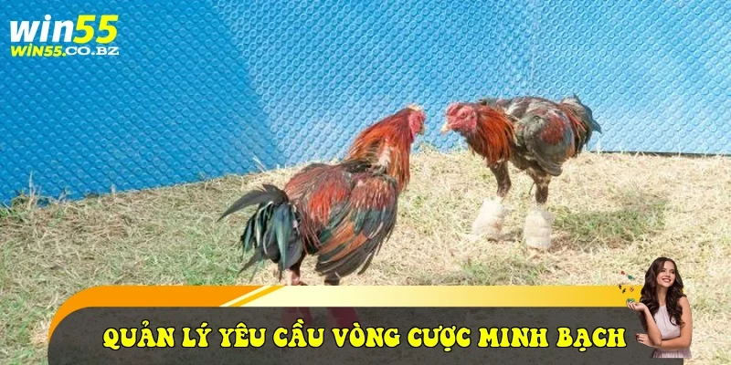 Quản lý yêu cầu vòng cược minh bạch