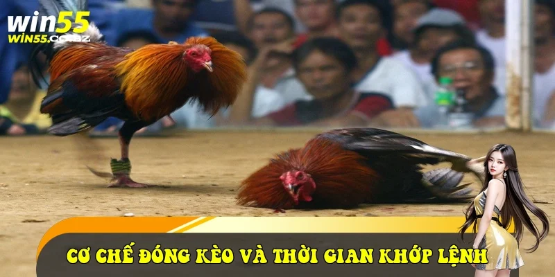 Cơ chế đóng kèo và thời gian khớp lệnh