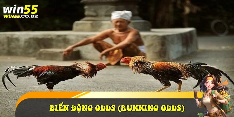 Biến động Odds (Running Odds)