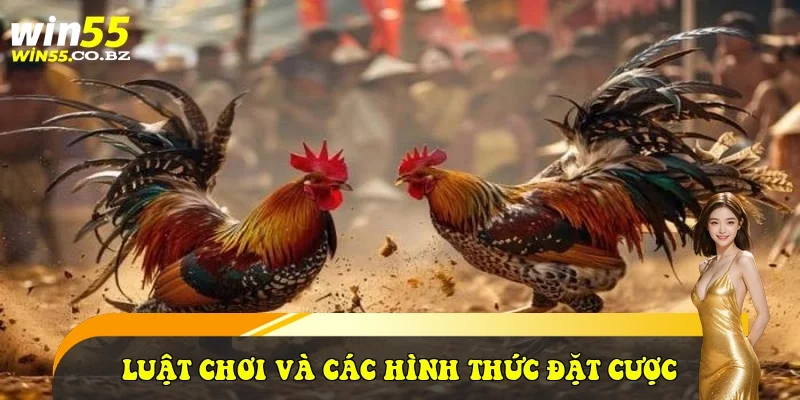 Luật chơi và các hình thức đặt cược