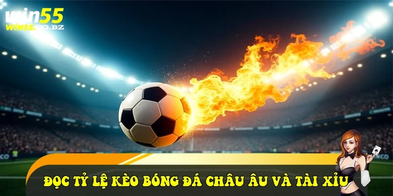 đọc tỷ lệ kèo bóng đá Châu Âu và Tài Xỉu