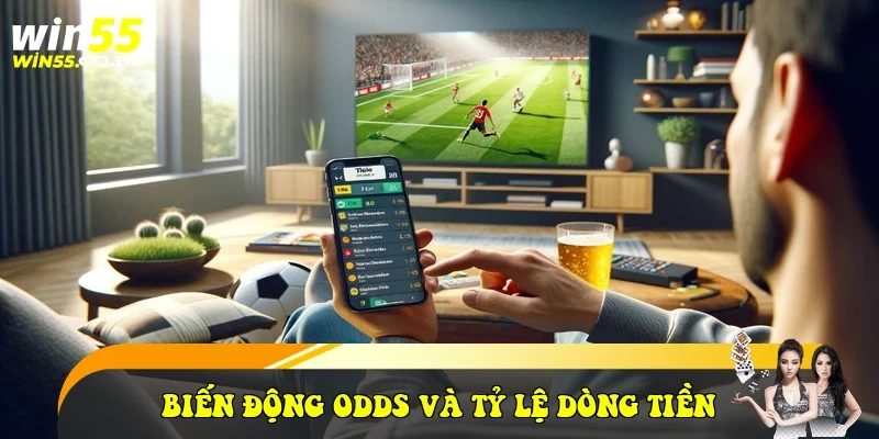 Biến động Odds và tỷ lệ dòng tiền